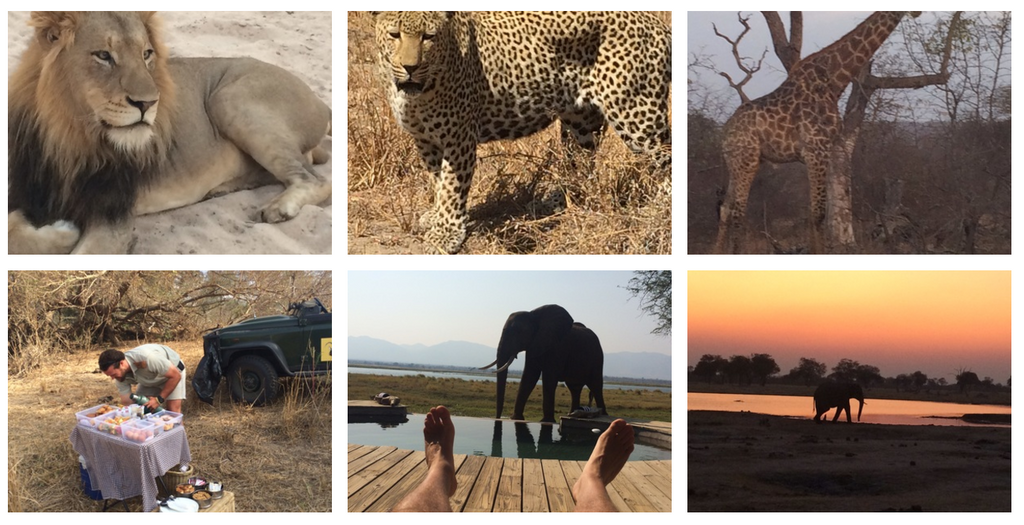 Eat.Safari. Eat. Safari. Eat. Sleep. Repeat.