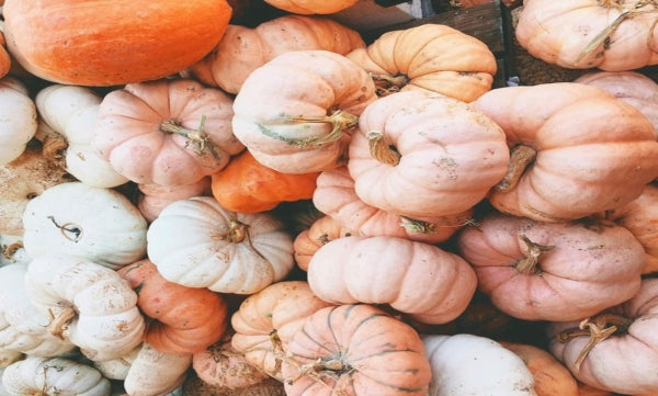 Our Pumpkin Spice Obsessions