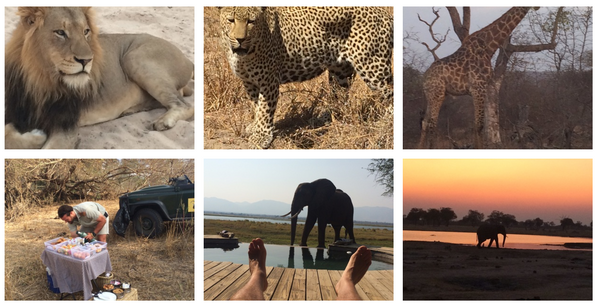 Eat.Safari. Eat. Safari. Eat. Sleep. Repeat.